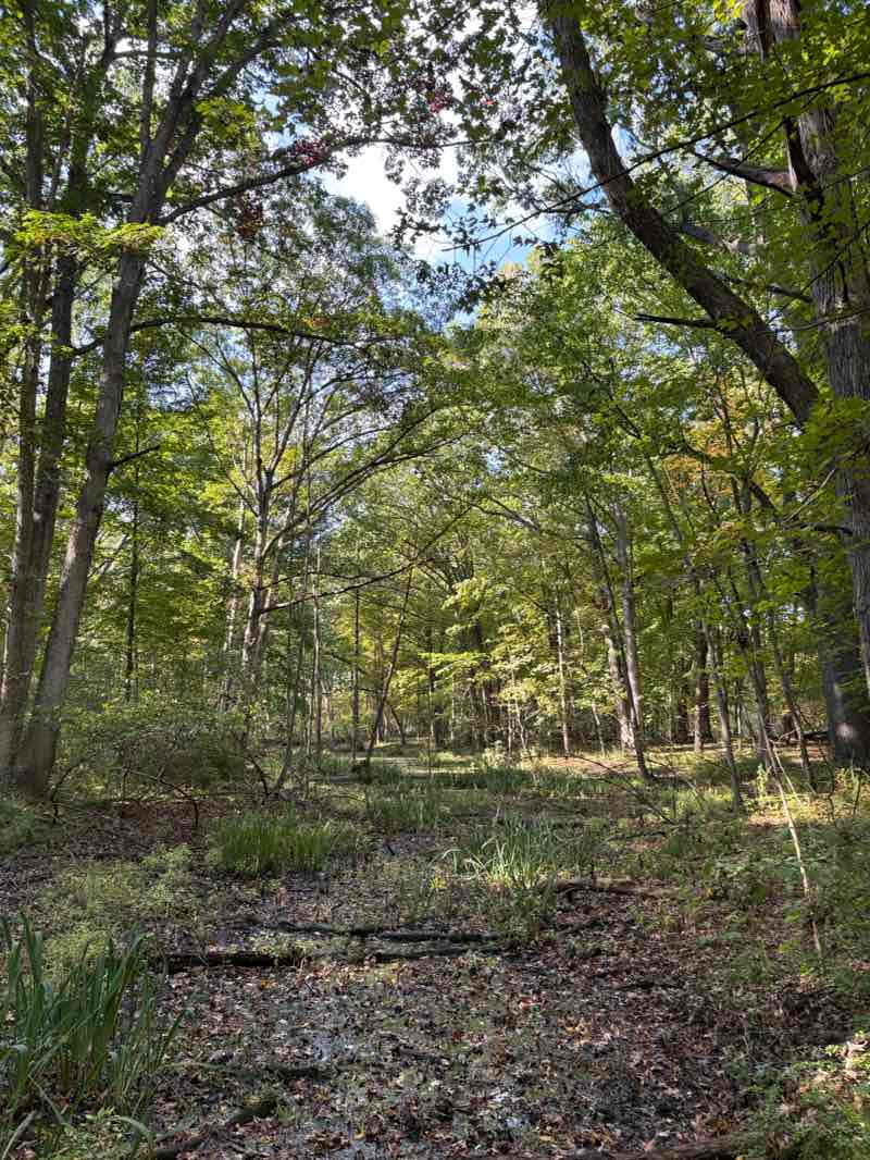 walking near me in Indian Crossing Trails Park in autumn