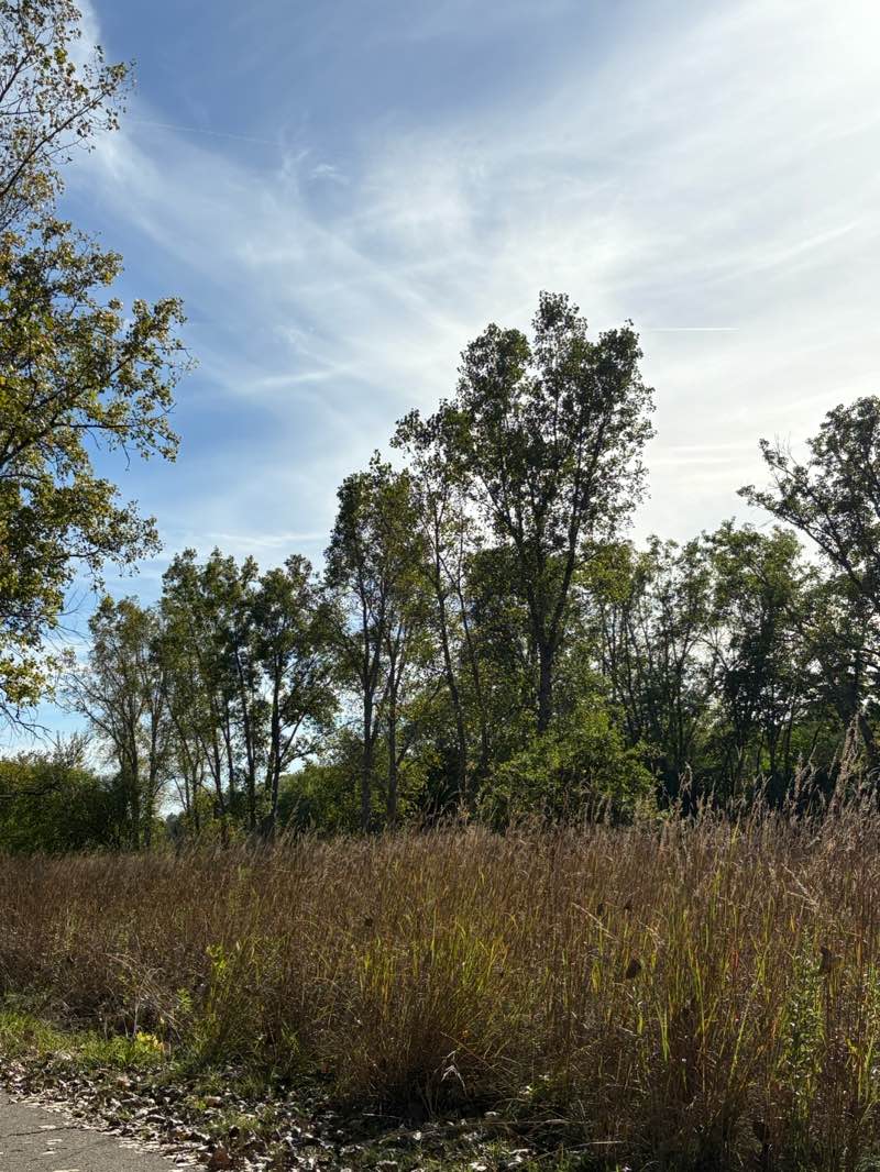 walking near me in Argo Nature Area in autumn