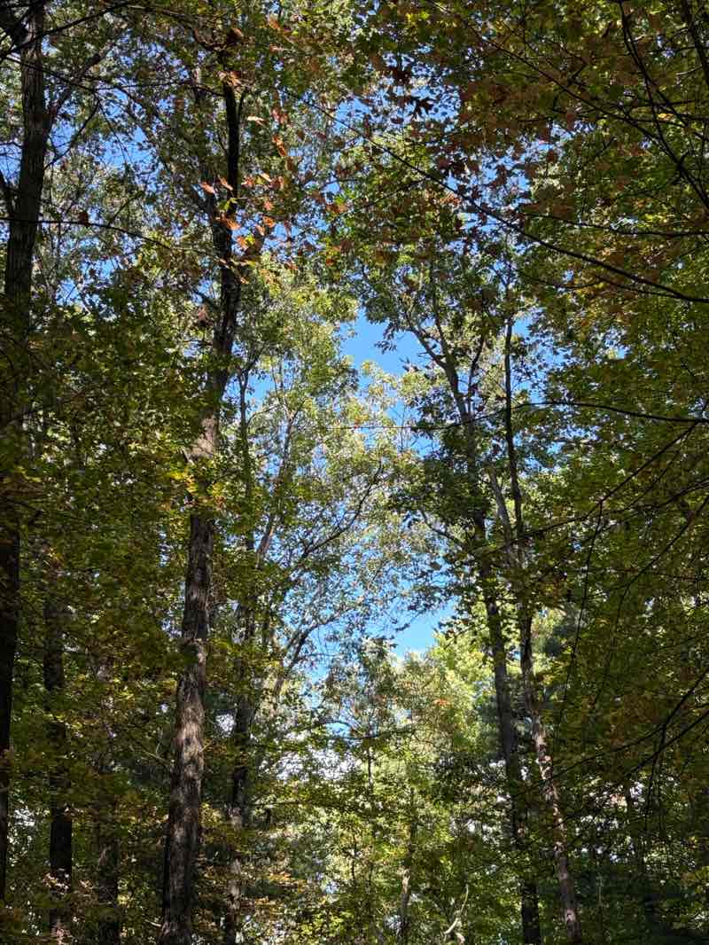 walking near me in Barry State Game Area in autumn