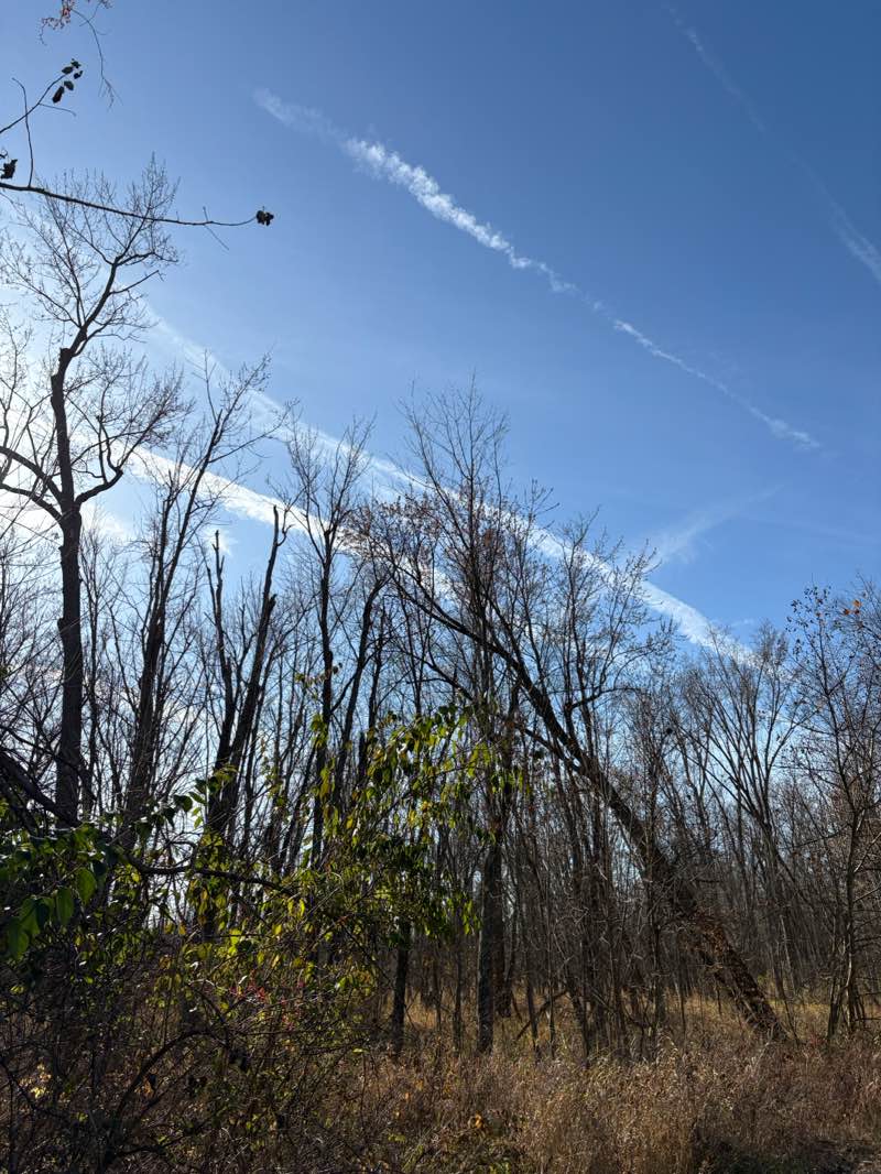 walking near me in Crego Park in autumn