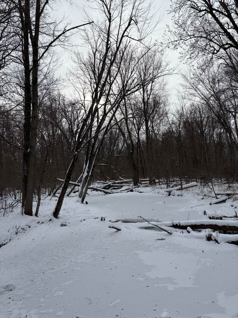 walking near me in Hawk Island County Park in winter