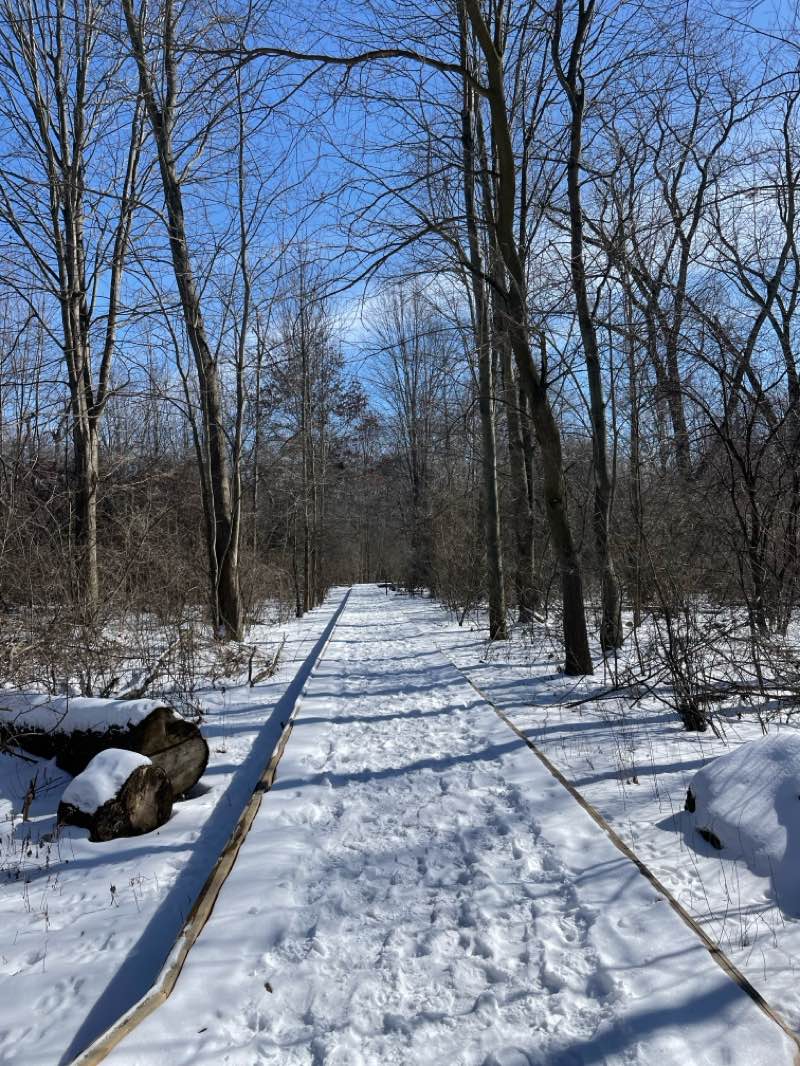 walking near me in Secor Metropark in winter