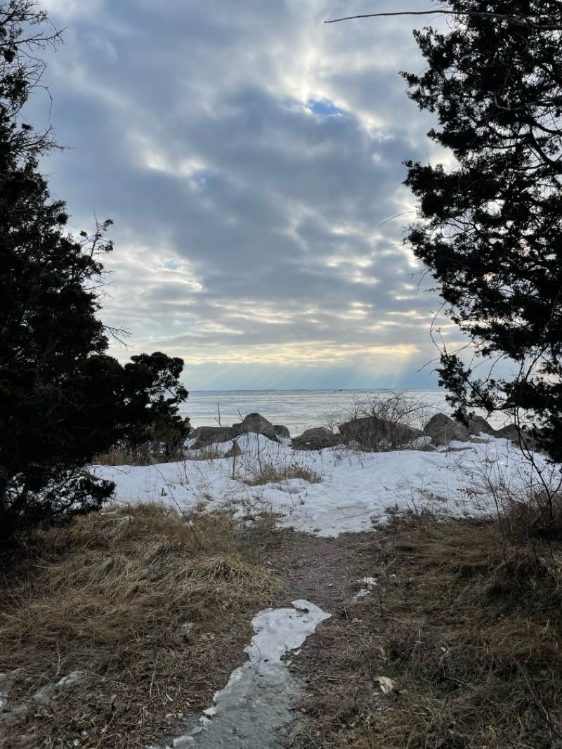 walking near me in Point Pelee National Park in spring