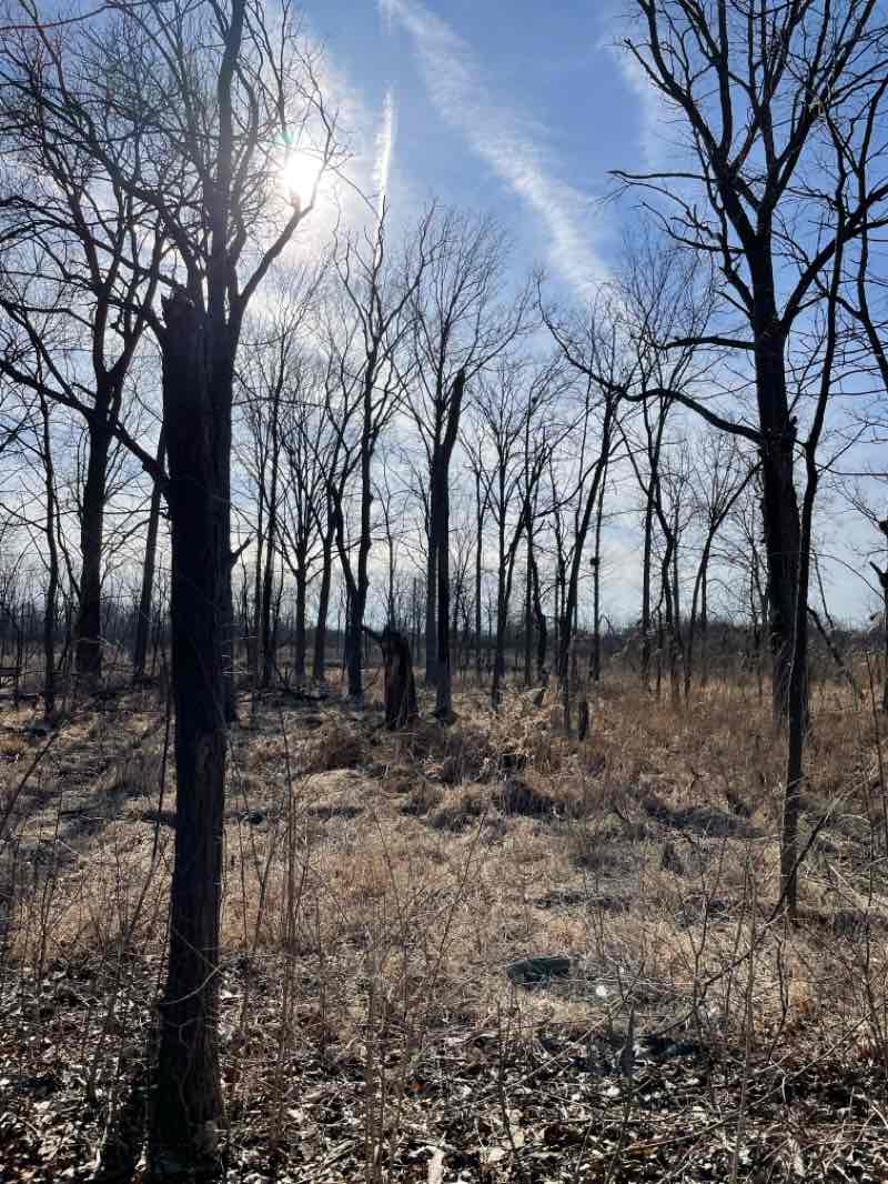 walking near me in Detroit River International Wildlife Refuge Gateway in spring