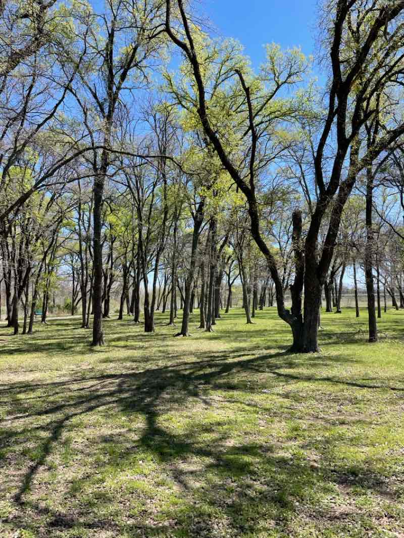 walking near me in Running Bear Park in spring