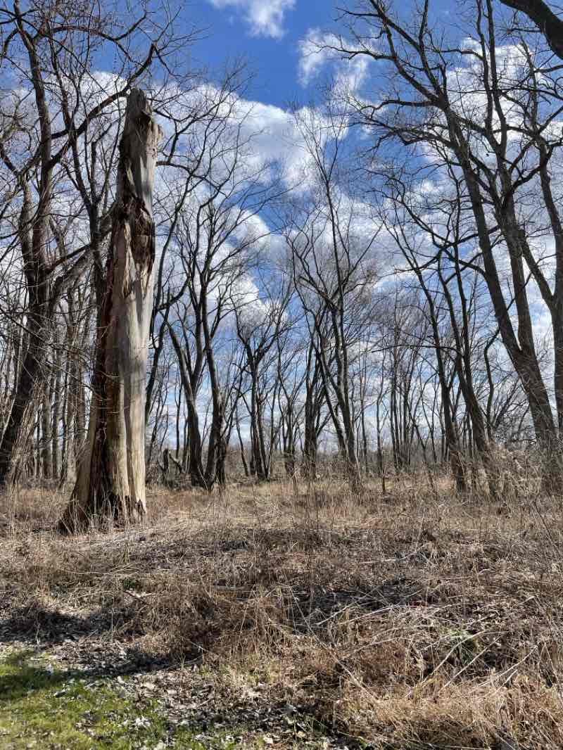 walking near me in Providence Metropark in spring