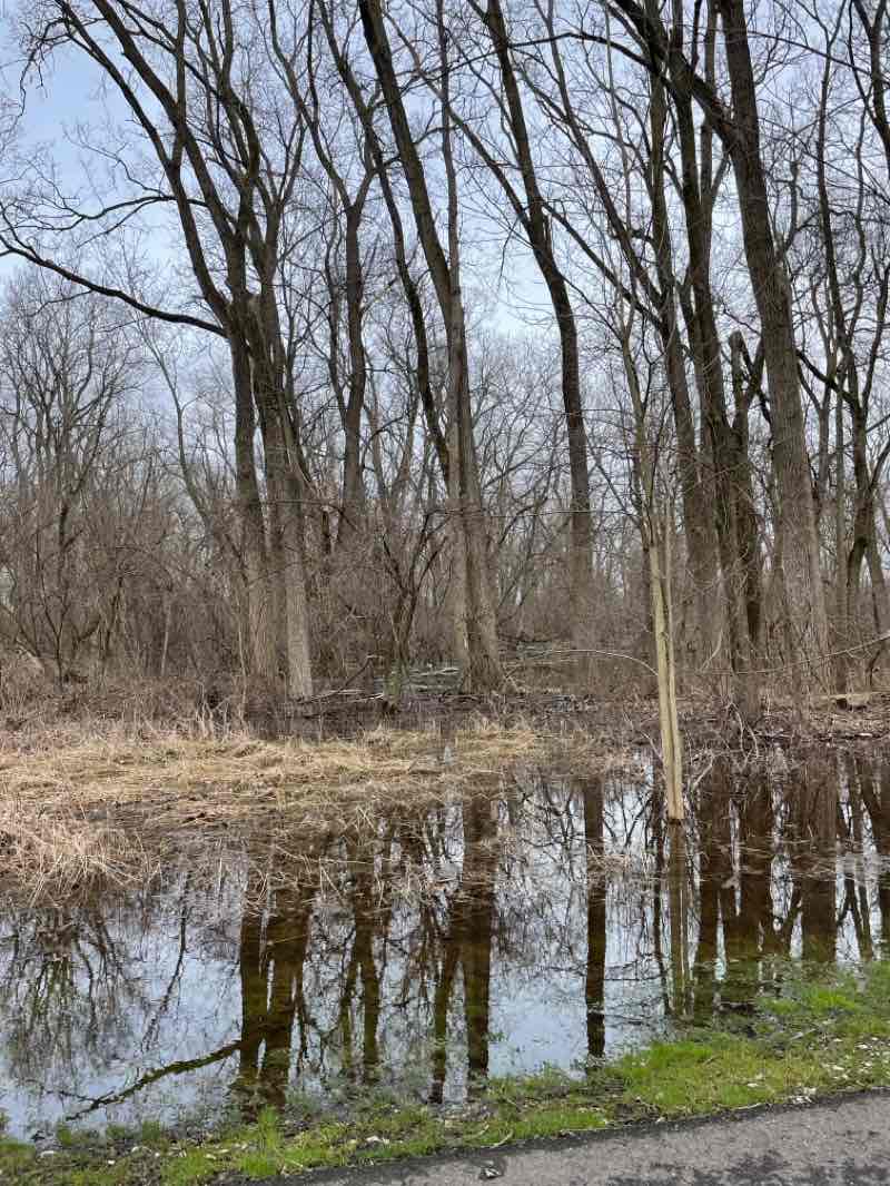 walking near me in East Lansing Soccer Complex in spring