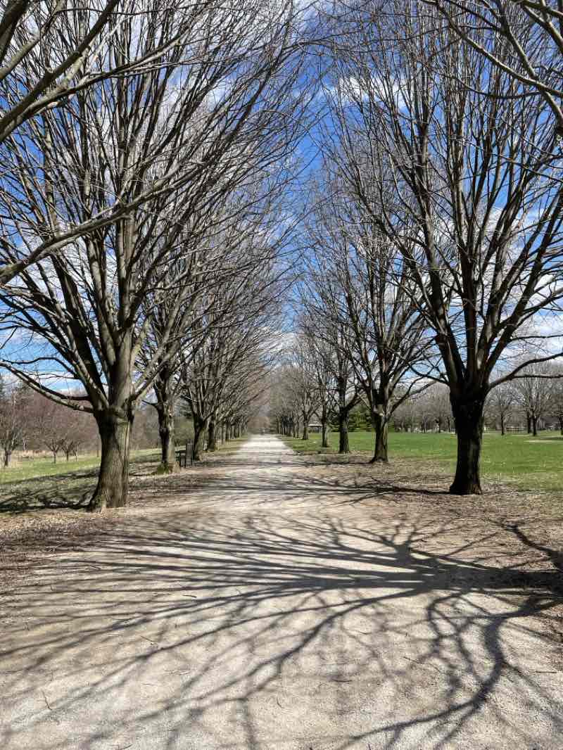 walking near me in Toledo Botanical Garden in spring