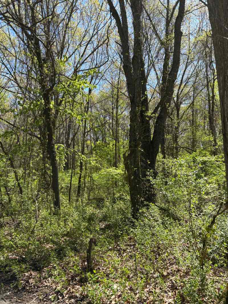 walking near me in Hidden Lake Park in spring