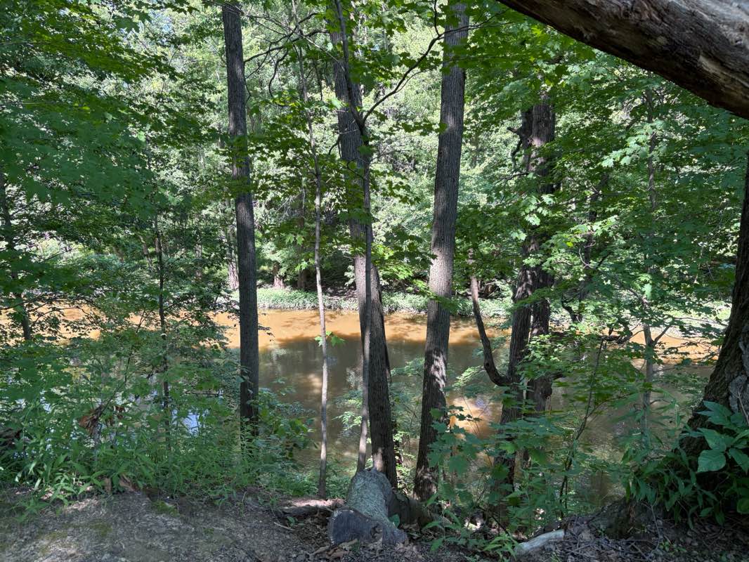 walking near me in Williamstown Township Park in summer