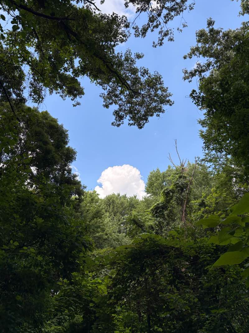 walking near me in Westwinds Metropark in summer