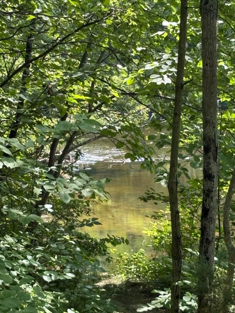 walking near me in Hudson Mills Metropolitan Park in summer