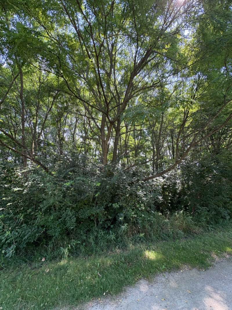 walking near me in Middlegrounds Metropark in autumn