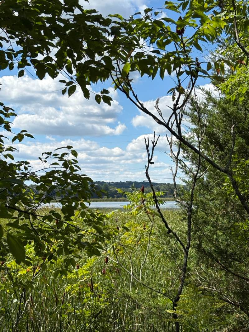 walking near me in Sandy Beach in autumn
