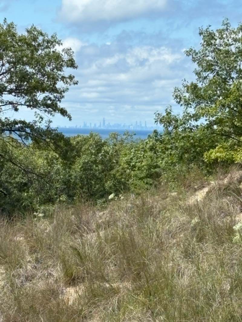 walking near me in Indiana Dunes State Park in autumn