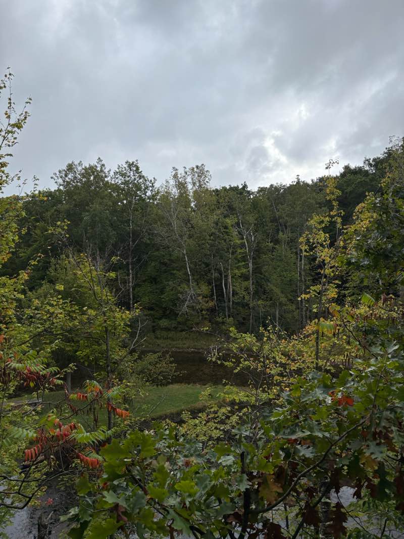 walking near me in Recreational Space in autumn