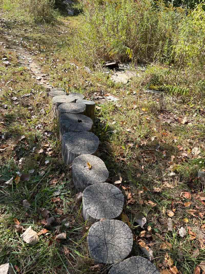 walking near me in Settlers Park in autumn