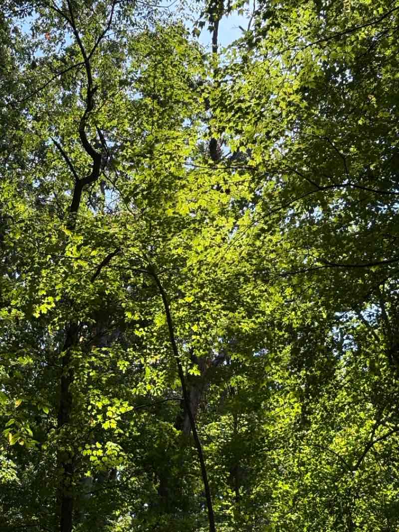 walking near me in Brighton State Recreation Area in autumn