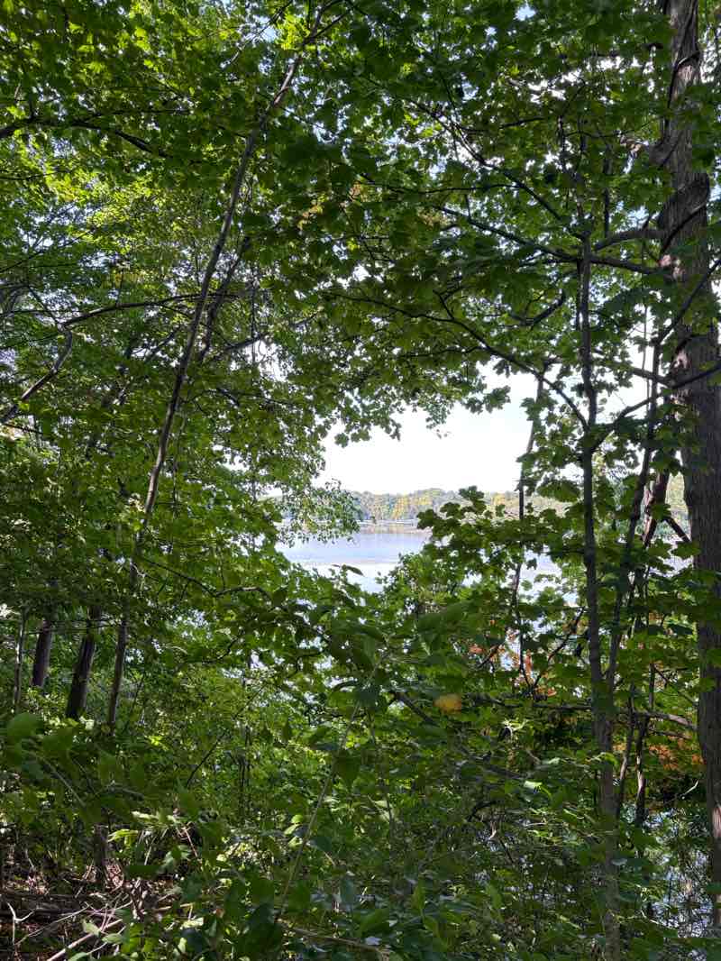 walking near me in Hines Parkway in autumn