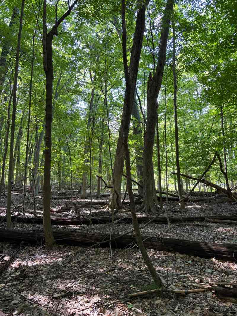 walking near me in Heritage Park in autumn