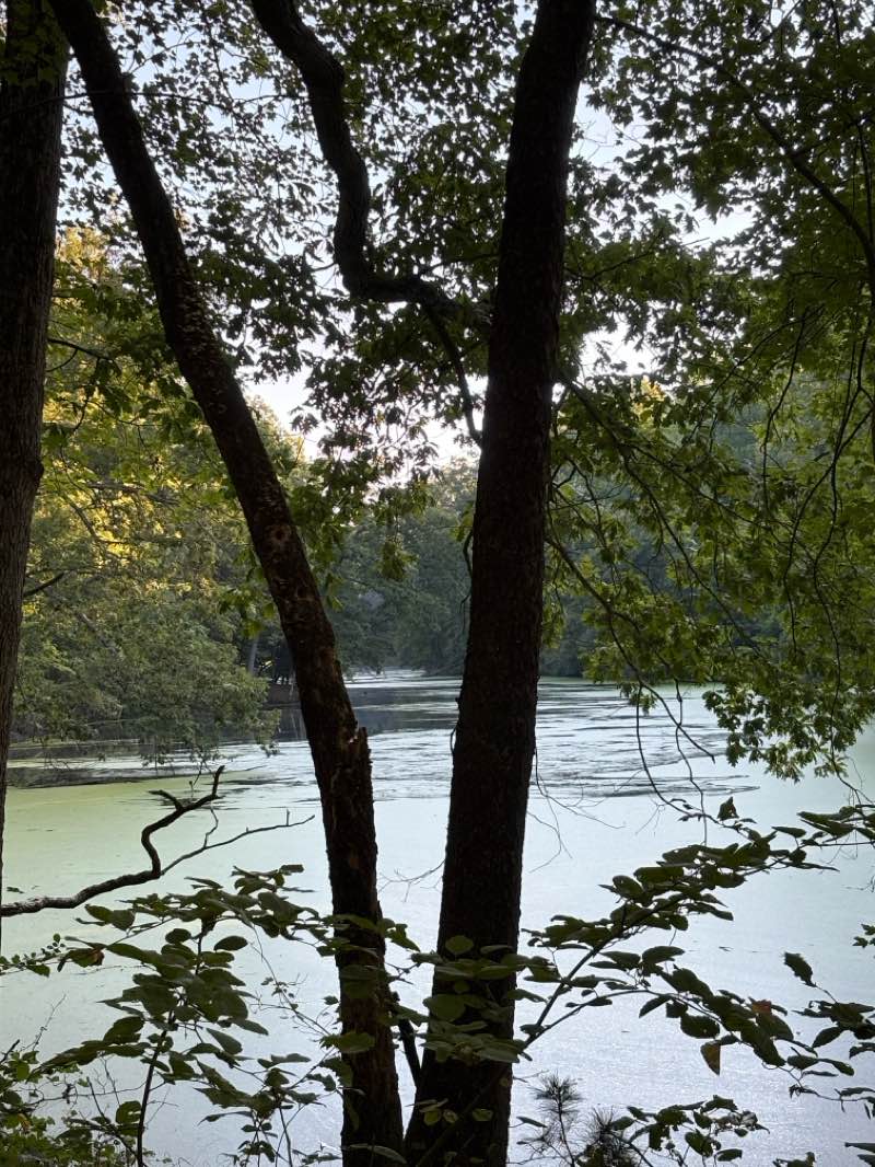 walking near me in Oak Openings Preserve Metropark in autumn