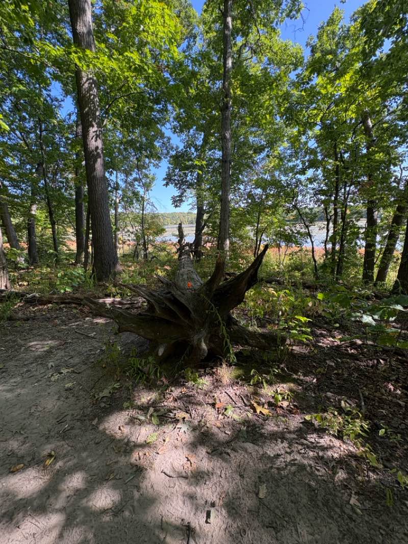walking near me in Highland State Recreation Area in autumn
