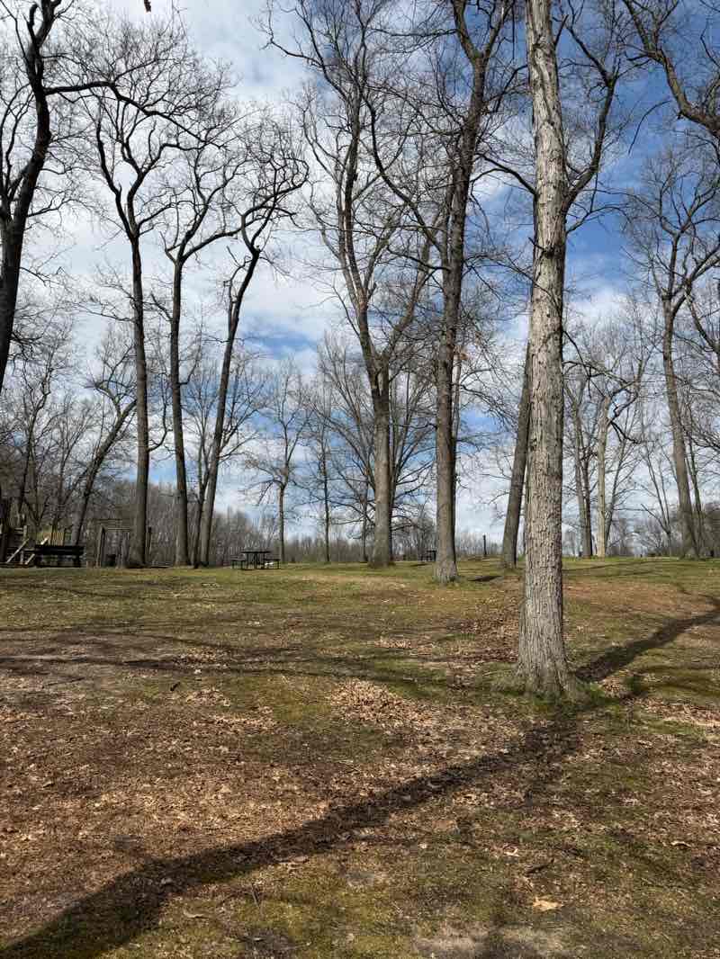 walking near me in Lake Lansing Park North in spring