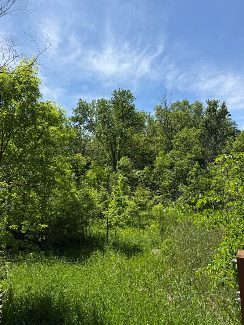walking near me in Sharp Park in summer