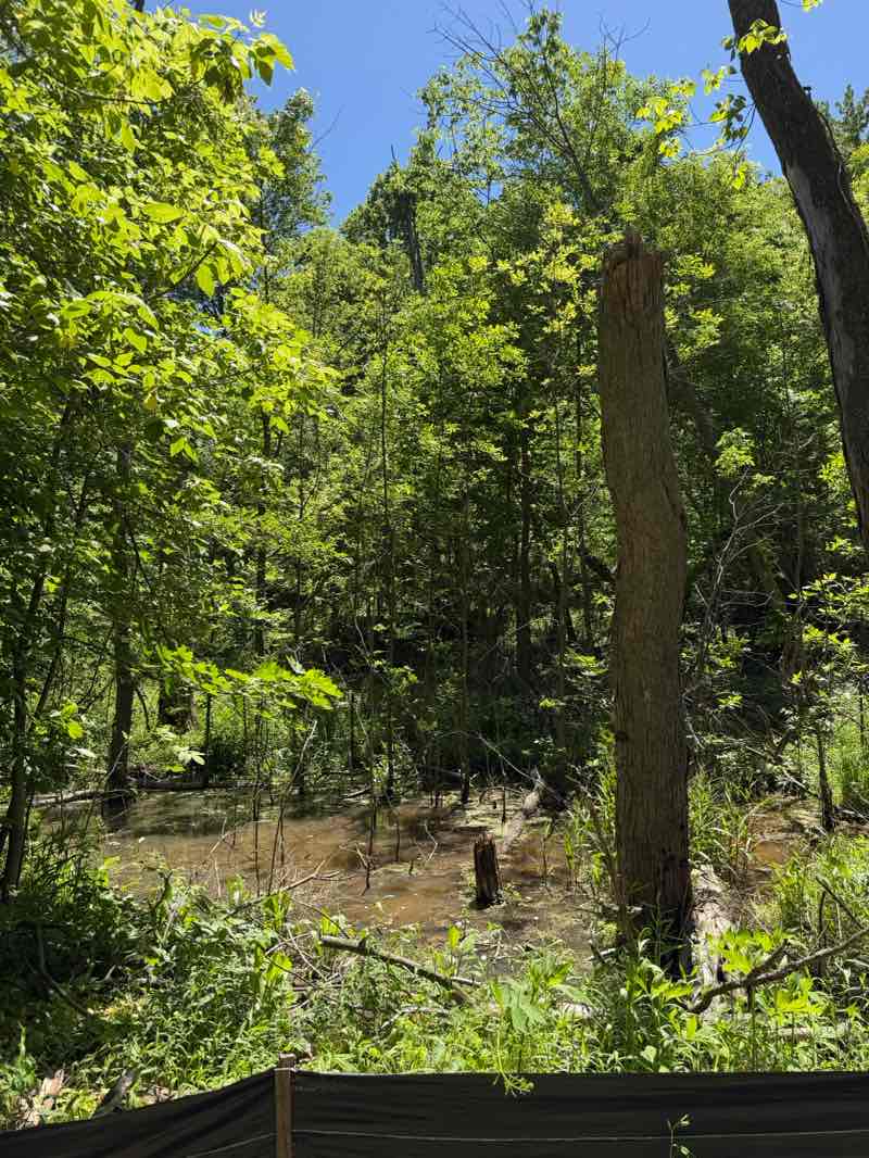 walking near me in Hunters Orchard Park in summer