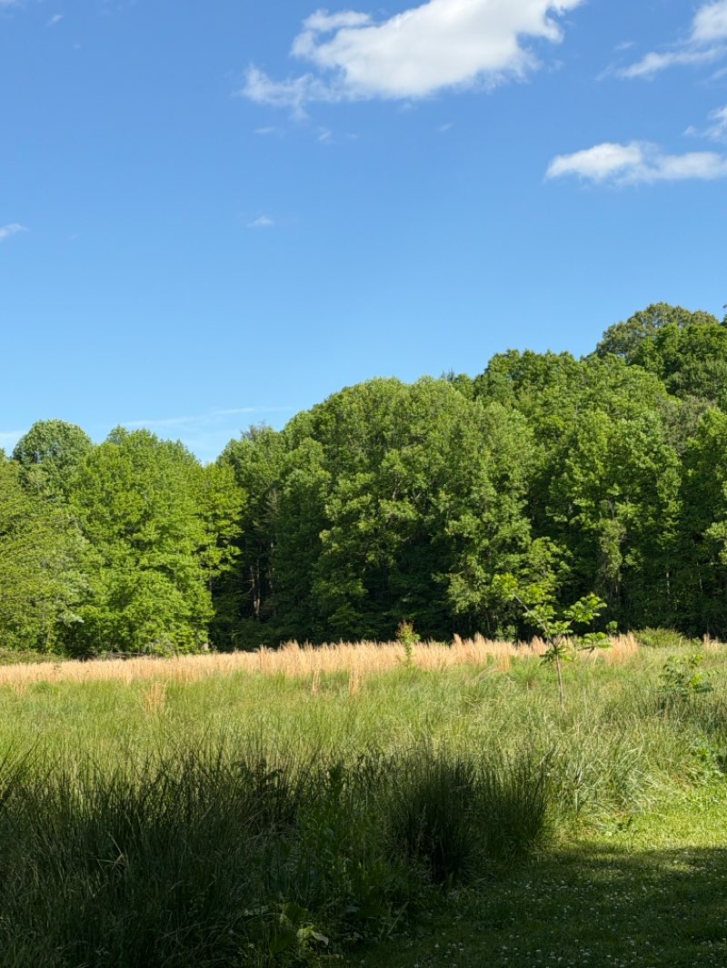walking near me in City of Brevard Sports Complex in spring