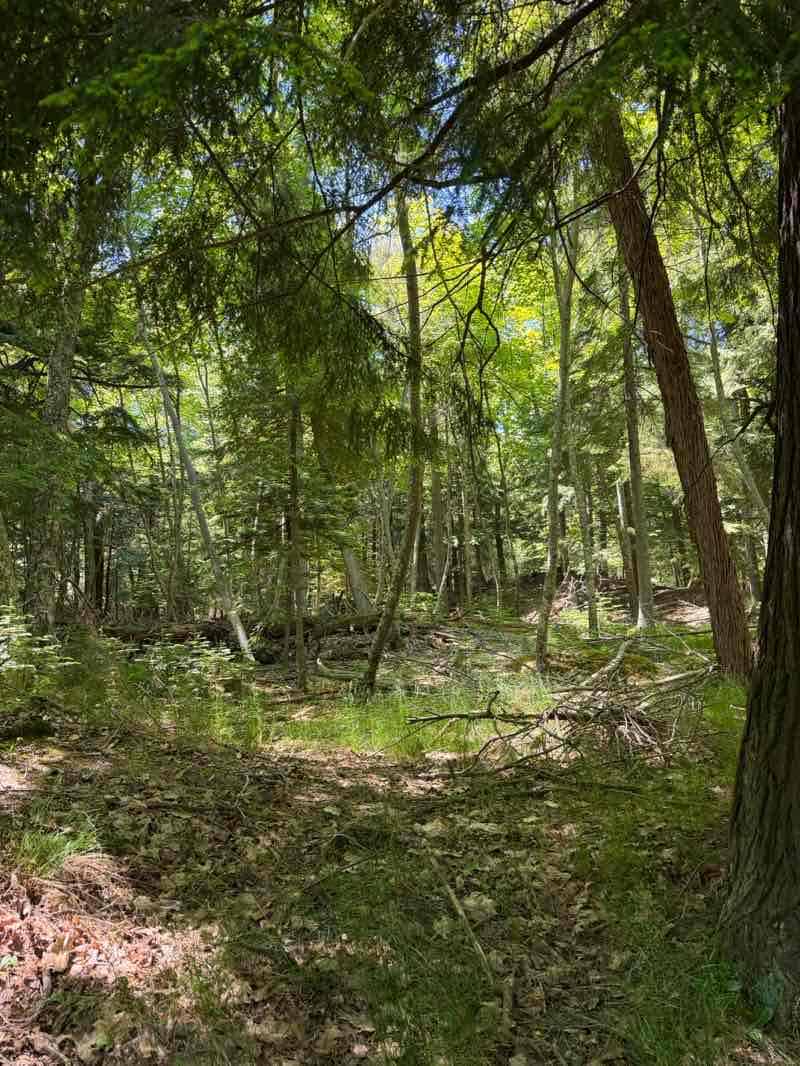 walking near me in Presque Isle Park in summer