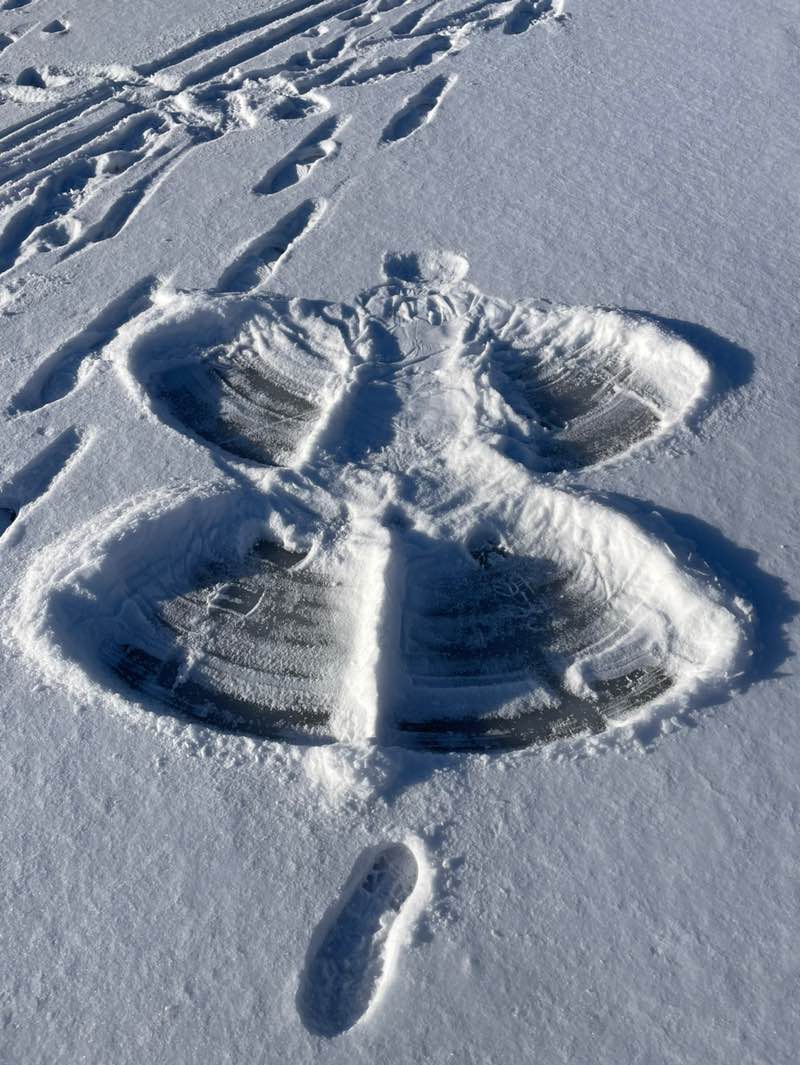 walking near me in Elmer Johnson Community Park in winter