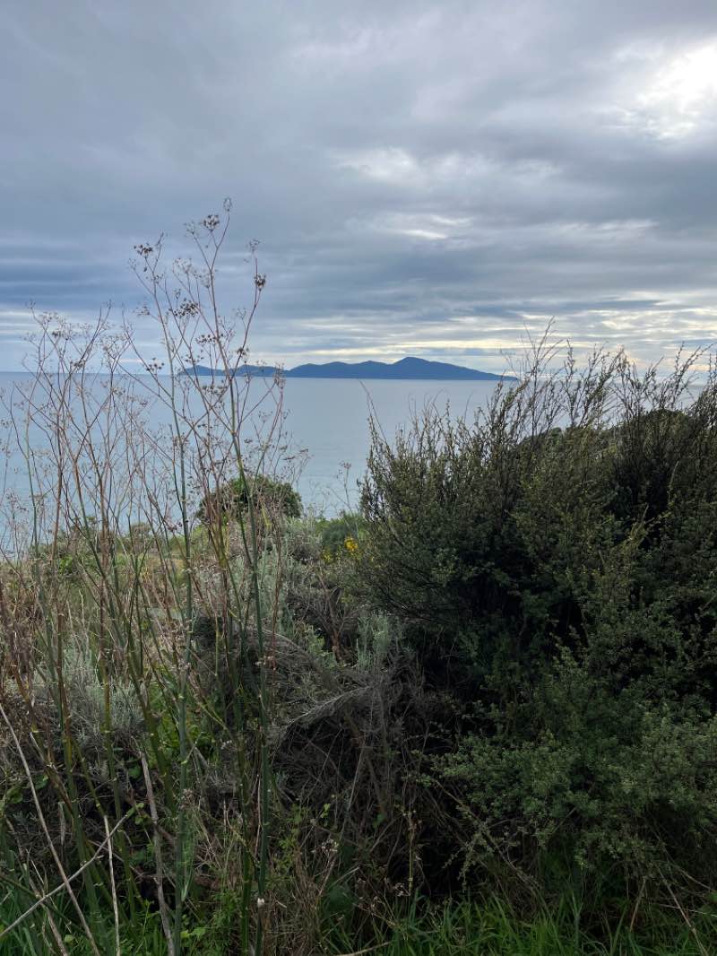 walking near me in Muri Reserve in summer