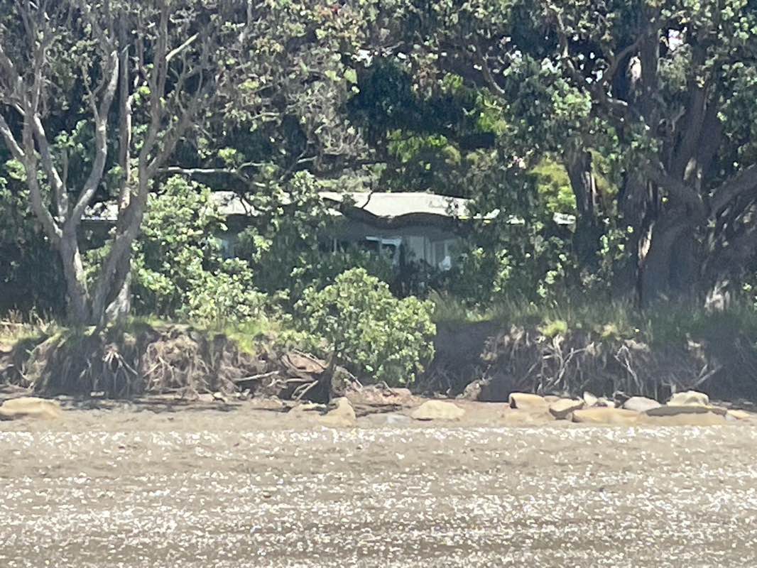 walking near me in Wenderholm Regional Park in summer