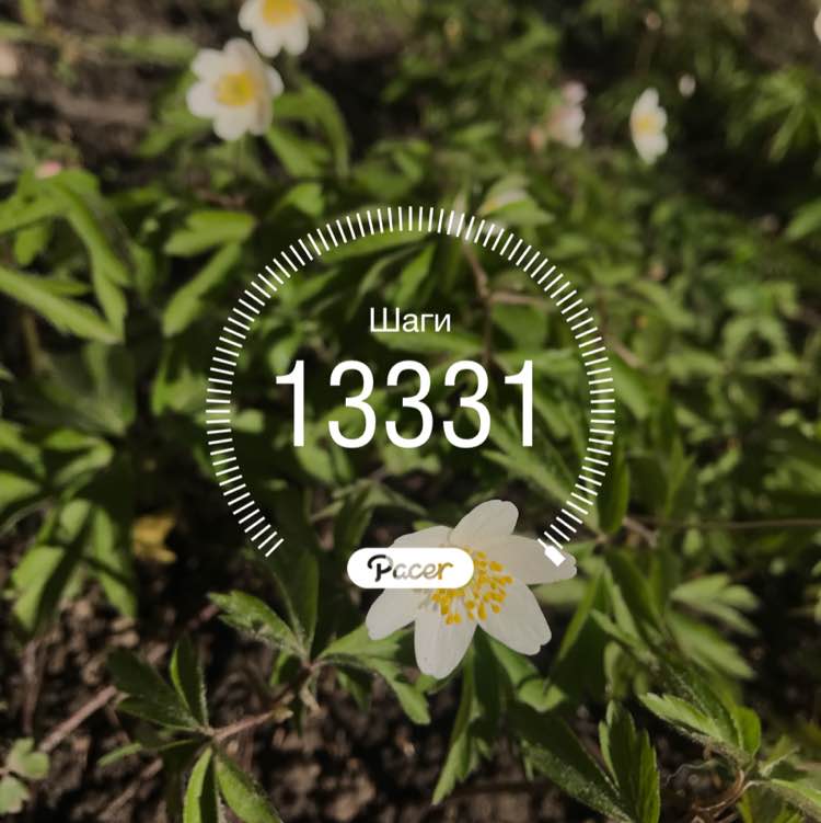 Kate and Wendy 🇷🇺🏔🦮 post 1