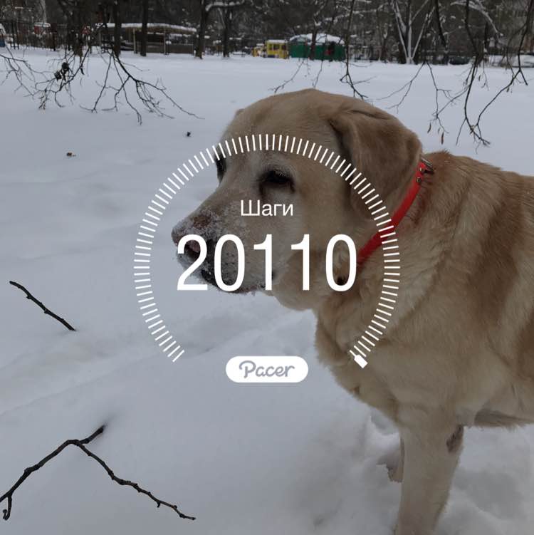 Kate and Wendy 🇷🇺🏔🦮 post 1