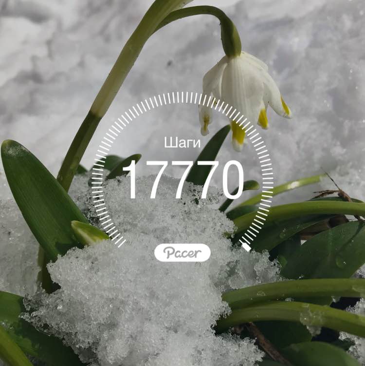 Kate and Wendy 🇷🇺🏔🦮 post 1