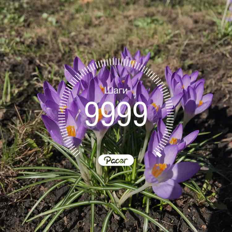 Kate and Wendy 🇷🇺🏔🦮 post 1