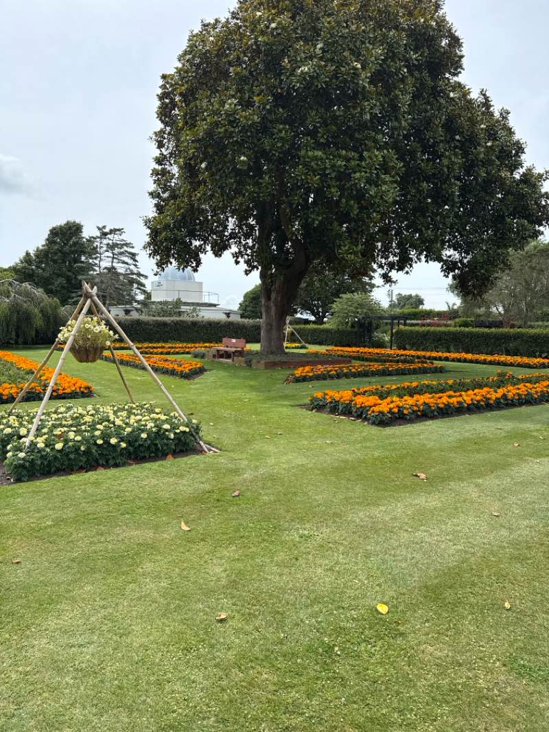 walking near me in King Edward Park in summer
