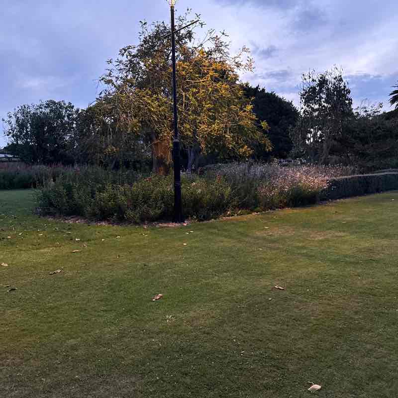 Hawklight post 2