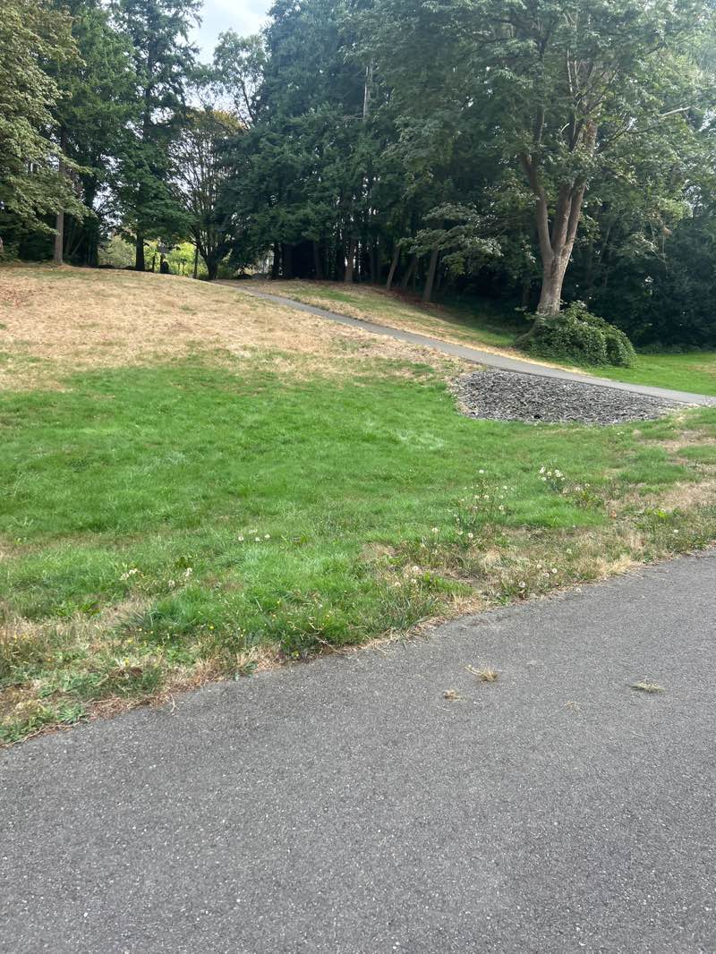 walking near me in Parkside Park in autumn