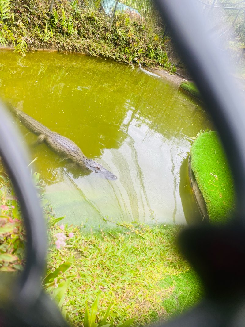 walking near me in Pana‘ewa Recreational Complex in winter