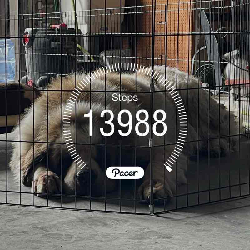 🍍Ms.Jessica🍍 post 1