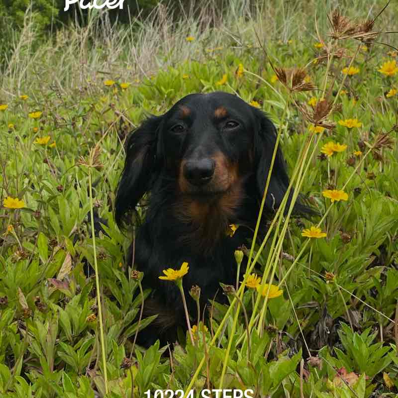 🍍Ms.Jessica🍍 post 1