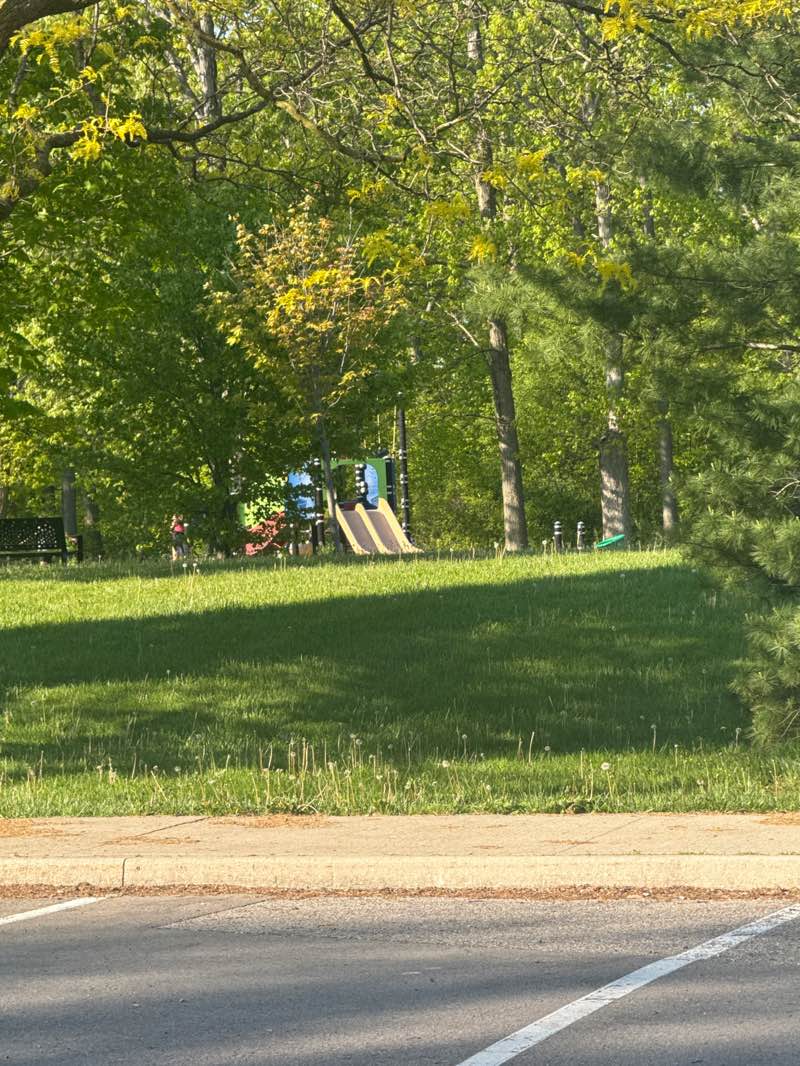 walking near me in Mountainside Park in summer