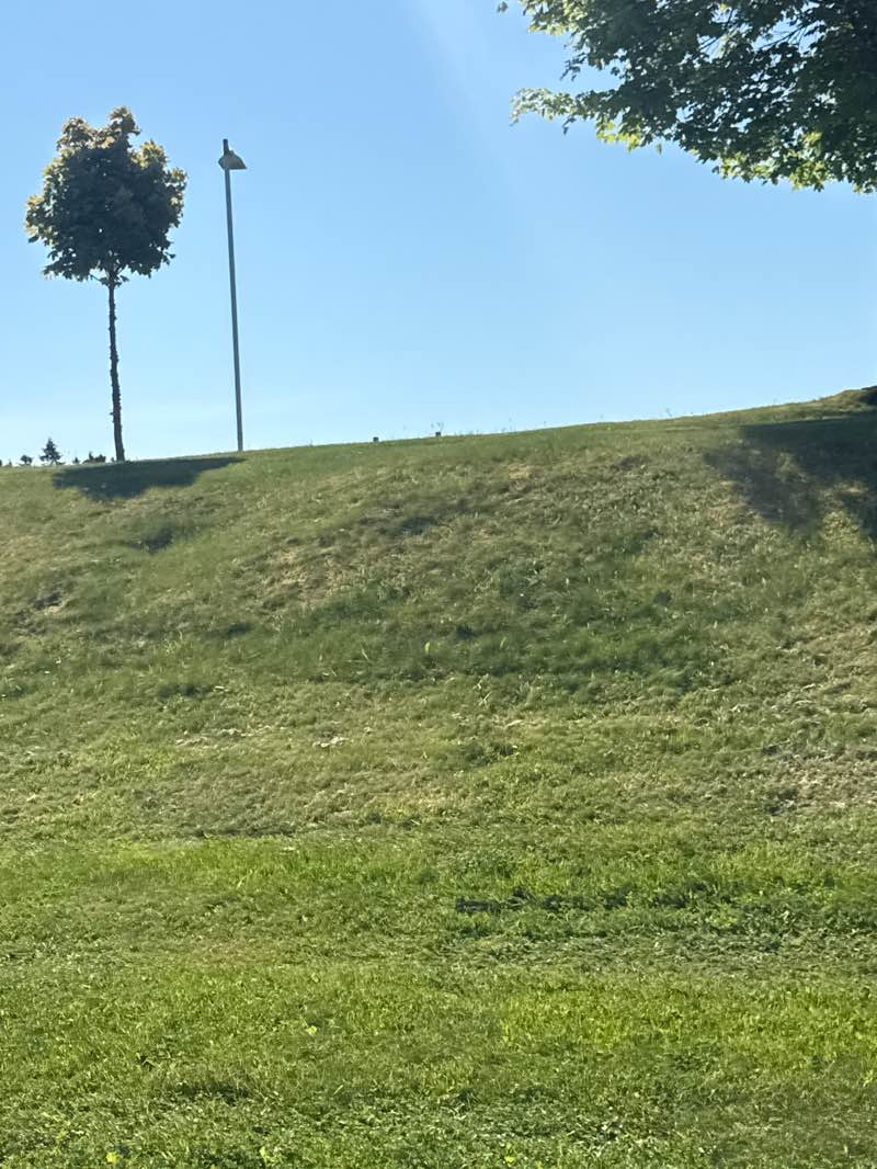 walking near me in Dickey Park in summer