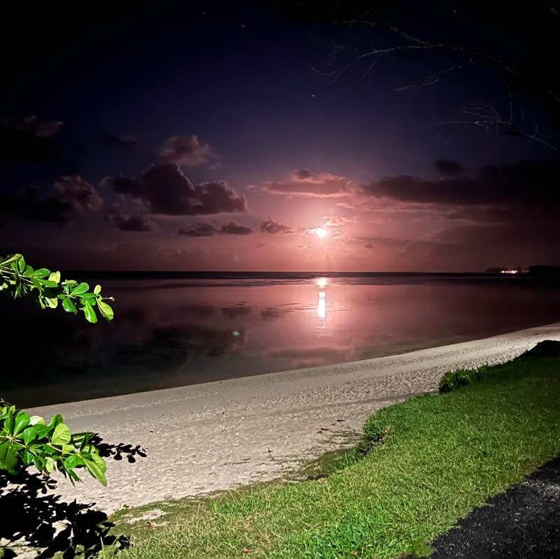 🌺GIOCHIAM🍃 Giuseppe post image