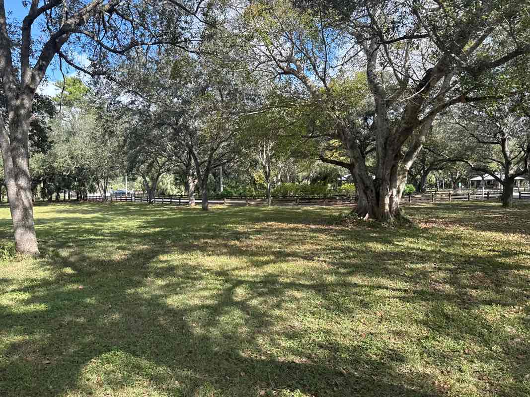 walking near me in Kendall Indian Hammocks County Park in autumn
