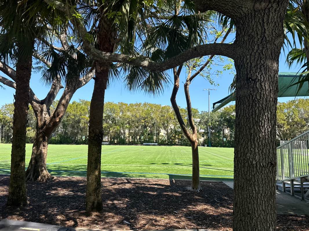 walking near me in Flagler Grove Park in spring