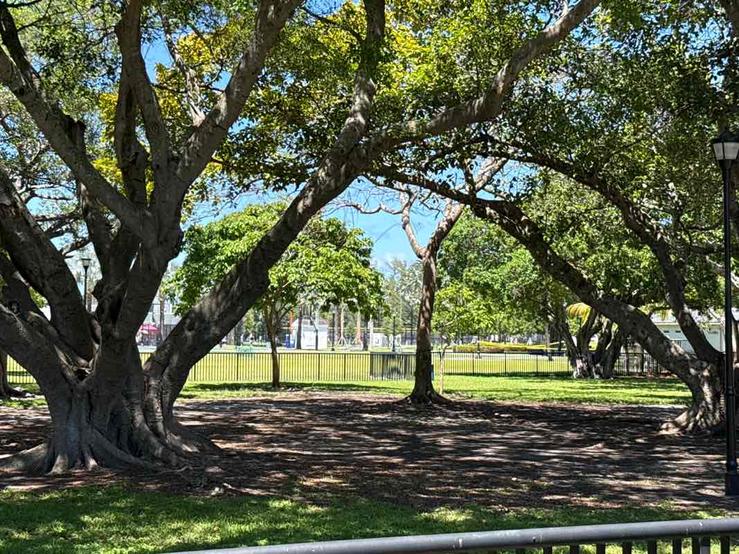 walking near me in Flamingo Park in spring